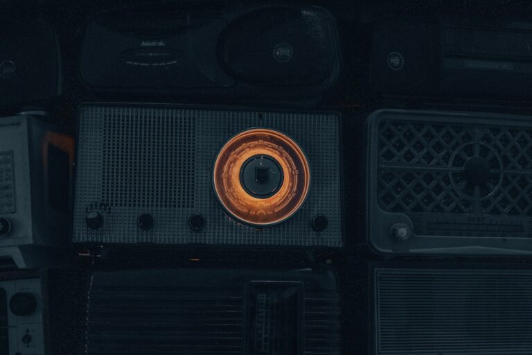 Top Tips for Choosing the Perfect Speakers for Your Home